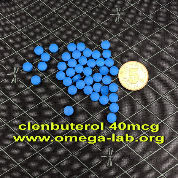 (image for) clenbuterol 40mcgx 100 tablets