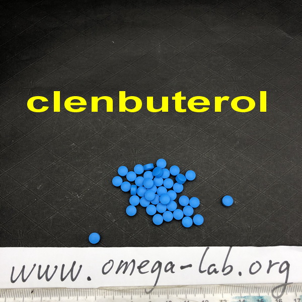 Clenbuterol 40mcg images 2